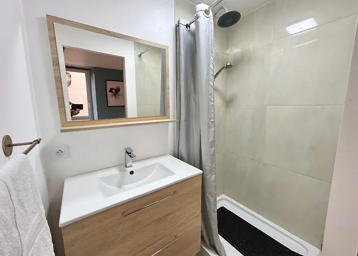 Apartment Le Cocon De - T4 Hyper Centre & Parking Chambéry