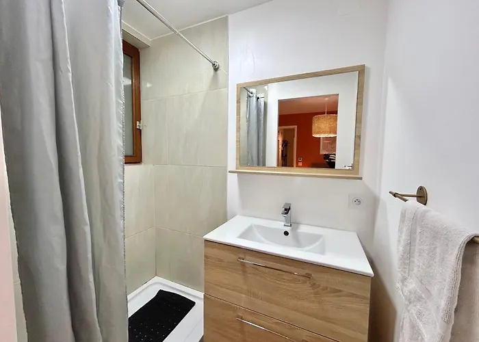 Apartment Le Cocon De - T4 Hyper Centre & Parking